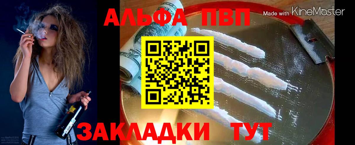 A-PVP СК КРИС Аргун