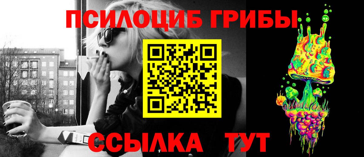 Галлюциногенные грибы мицелий  Вход с VPN  Галлюциногенные грибы Psilocybe  магазин продажи   Аргун 