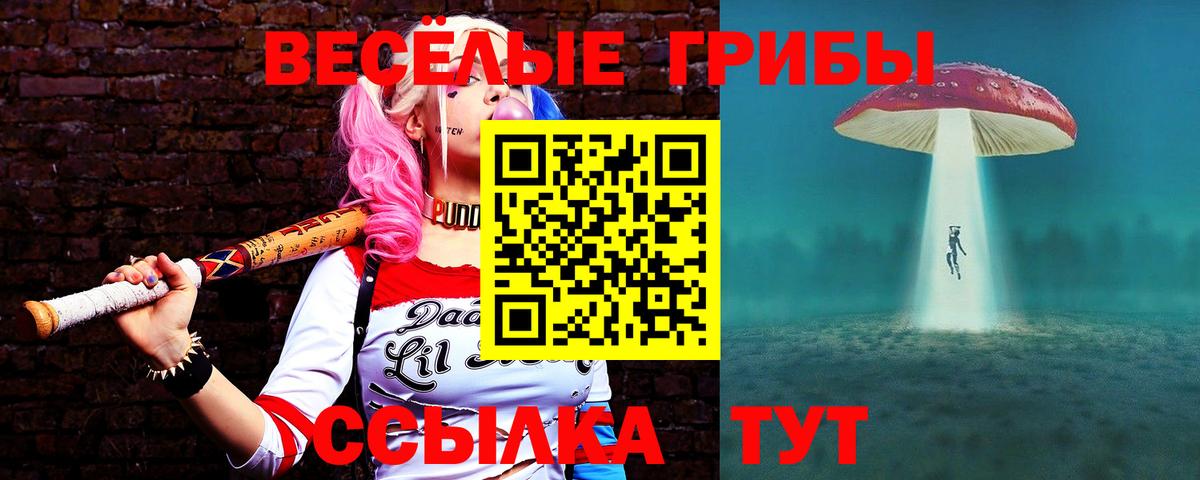 Галлюциногенные грибы мухоморы Аргун
