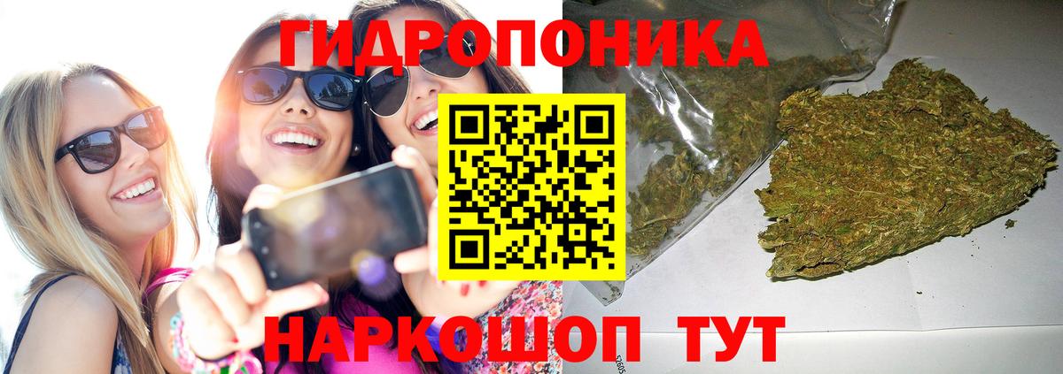 Конопля LSD WEED  Канабис семена  Канабис планчик  Бошки Шишки гибрид  Аргун  Вход с VPN 